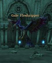 Gale Fleshripper